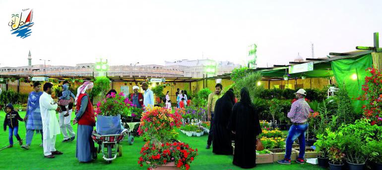    خبر اولین جشنواره گل قطر