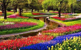    خبر جشنواره باغ کوکنهف هلند، معروف‌ترین باغ گل جهان در تاریخ 2 فروردین تا 23 اردیبهشت