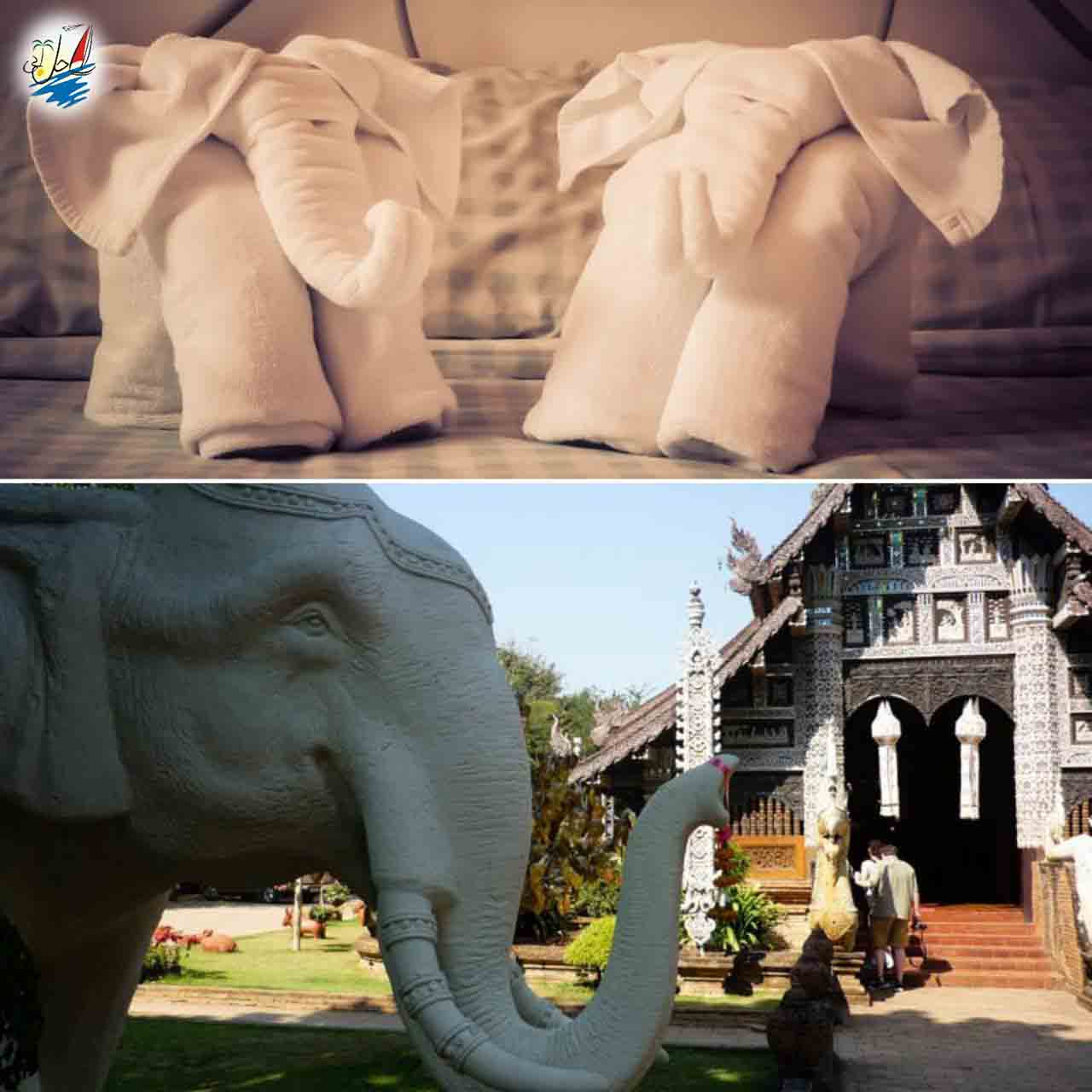    خبر روز ملی فیل در تایلند