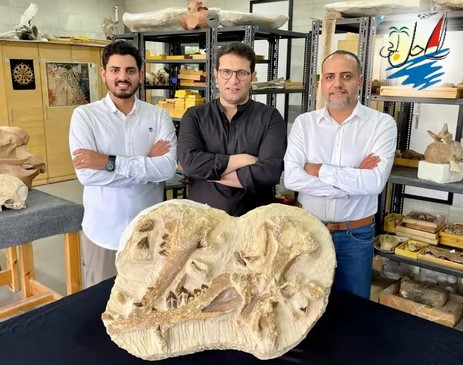    خبر رد پای نهنگ 41 میلیون ساله در مصر