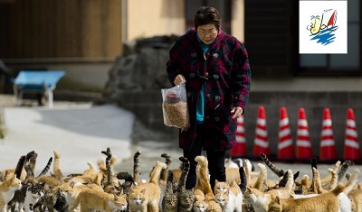    خبر گربه‌ها و گوزن‌ها؛ یاوران گردشگری در مناطق دورافتادهٔ ژاپن
