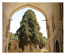 مسجد-جامع-نيريز