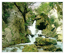 آبشار عیش آباد 