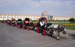    خبر لزوم شکل گیری نهضت ملی گردشگری