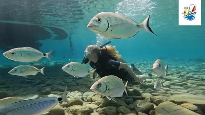    خبر  ترکیبی از تجمل سازگار با طبیعت و آرامش در بدروم